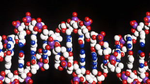 Donne pi&ugrave; longeve per il risveglio del cromosoma X nel cervello