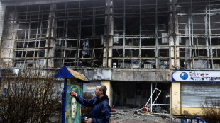 Le street artiste C215 peint "des sourires et de l'humanit&eacute;" sur les murs d'Ukraine