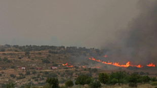 Israel reabre estradas fechadas por incêndio perto de Jerusalém