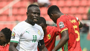 Afrika-Cup: Senegal und Guinea im Achtelfinale - Sensationssieg f&uuml;r Komoren