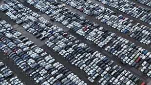 Kommission: EU will Verbrenner-Aus ab 2035 "schnellstmöglich" überprüfen