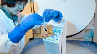 Tumore del seno, 1 donna su 4 sceglie la crioconservazione degli ovociti