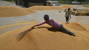 La econom&iacute;a mundial crecer&aacute; un 2,8%, lastrada por los aranceles de Trump, prev&eacute; el FMI