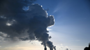 Paris s'inqui&egrave;te d'une relance du charbon en Allemagne