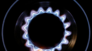 Il gas chiude in rialzo sul mercato di Amsterdam (+4,9%)