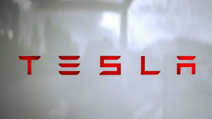 Norwegischer Staatsfonds will gegen Tesla-Verg&uuml;tungsplan f&uuml;r Elon Musk stimmen