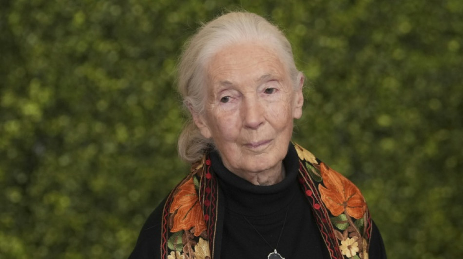 Muere la reconocida etóloga Jane Goodall a los 91 años