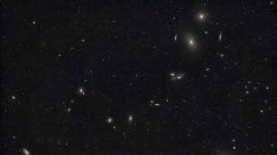 Penetrato il bozzolo di polvere che nasconde una stella in formazione