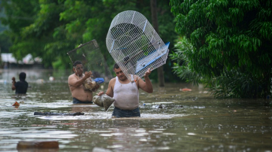 Mexico heavy rains kill at least 28