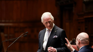 King Charles addresses Italian parliament, greets pope on visit to Rome