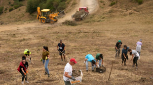 Los incendios forestales en Espa&ntilde;a queman otras 30.000 hect&aacute;reas 