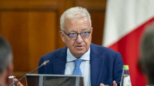 Ex Ilva: Mantovano, per forni elettrici gi&agrave; presenti risorse da utilizzare