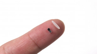 Messo a punto un pacemaker pi&ugrave; piccolo di un chicco di riso