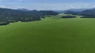 Salvador: un immense lac envahi d'algues vertes, p&ecirc;che et tourisme &agrave; l'arr&ecirc;t