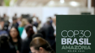 Brasil pressiona na COP com rascunho de acordo; Lula retornará a Belém