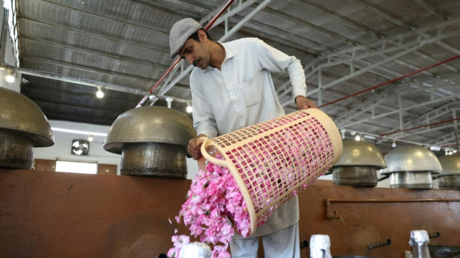 Las personas que perciben una renta básica universal no trabajan menos, según un estudio