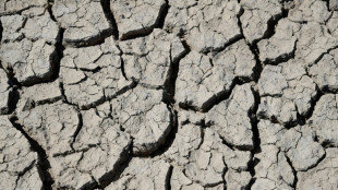 Experten warnen vor Gesundheitsgefahren durch Klimawandel und Umweltzerst&ouml;rung