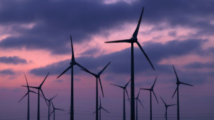 AIE: mais da metade da eletricidade ter&aacute; baixa emiss&atilde;o de carbono at&eacute; 2030