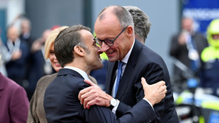 Merz fordert 35 Jahre nach Wiedervereinigung eine "neue Einheit"