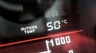 Chaleur record aux Emirats, où le thermomètre dépasse les 50 degrés Celsius