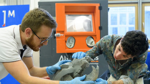 L'orso preistorico delle caverne 'rivive' grazie alla stampa 3D