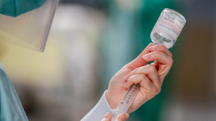 West Nile, le morti salgono a 19 e i casi sono almeno 178