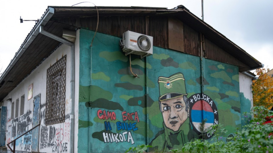 Mladic, punks et Kosovo : les murs de Belgrade, livre d'histoire &agrave; ciel ouvert 