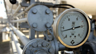Il prezzo del gas crolla a 43 euro con la tregua Usa-Iran