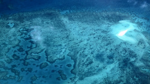 El Ni&ntilde;o: un "effondrement" de l'&eacute;cosyst&egrave;me de la Grande Barri&egrave;re de corail redout&eacute;