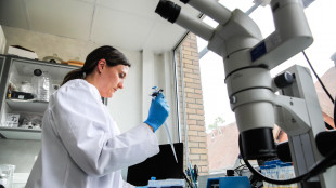 Tumori, creato un test che prevede se cancro resisterà a chemio