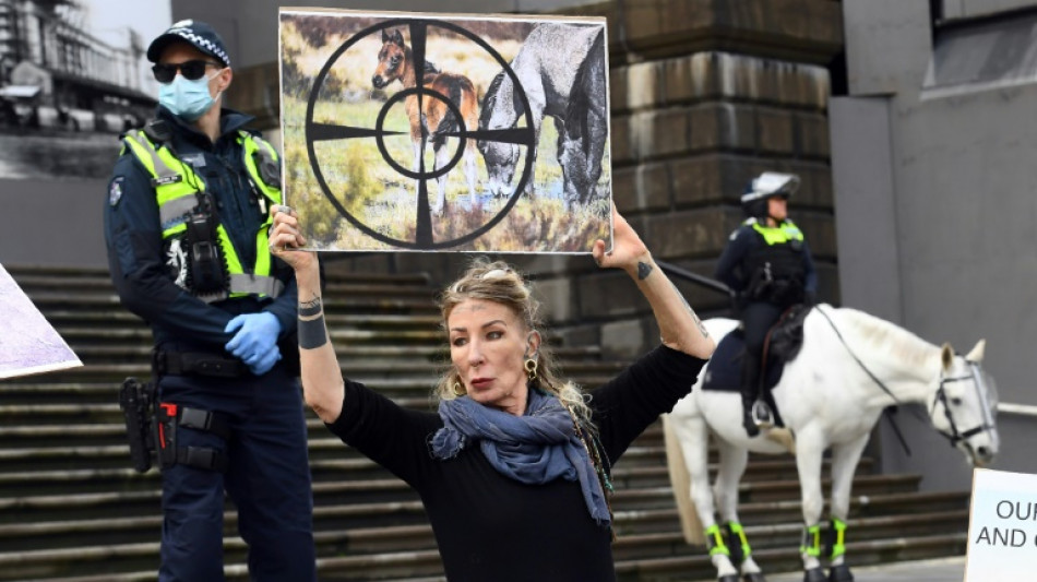 L'Australie va recommencer &agrave; abattre des chevaux sauvages par h&eacute;licopt&egrave;re