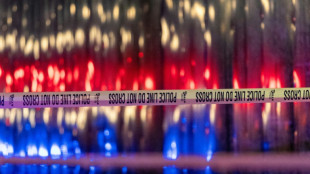 Jewish museum shooting suspect mistaken for victim: witnesses