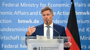 Habeck sieht Mikrochips als Schl&uuml;sseltechnologie f&uuml;r Klimaschutz und Wachstum