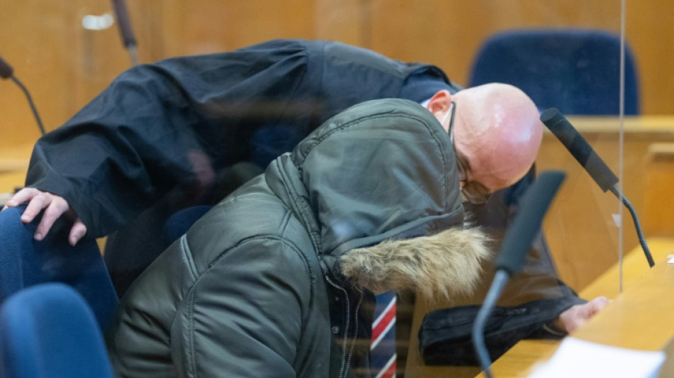 Alemania condena a cadena perpetua a un sirio que tortur&oacute; a opositores durante el r&eacute;gimen de Asad