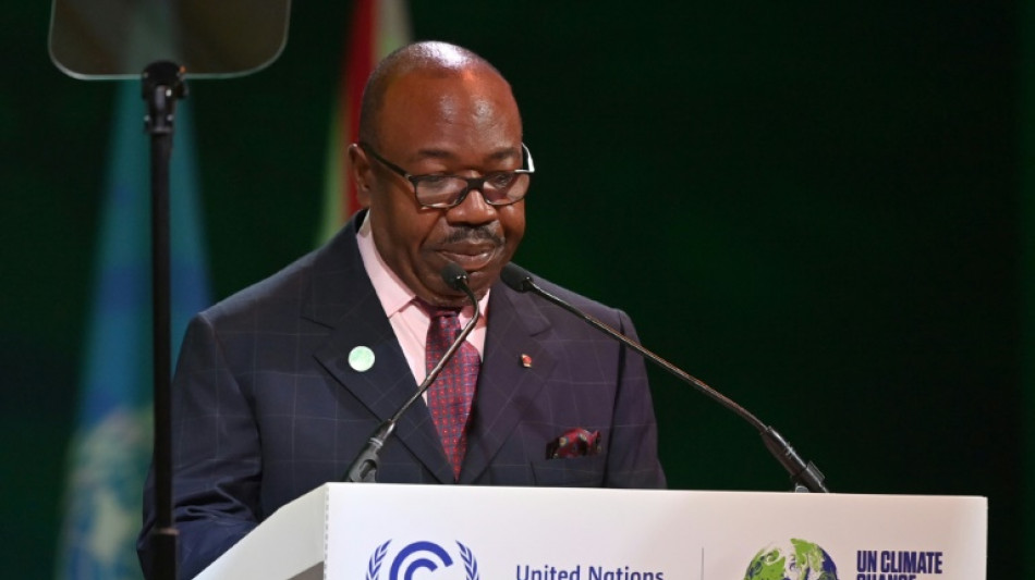Le Gabon accueillera la Semaine africaine du climat fin ao&ucirc;t 