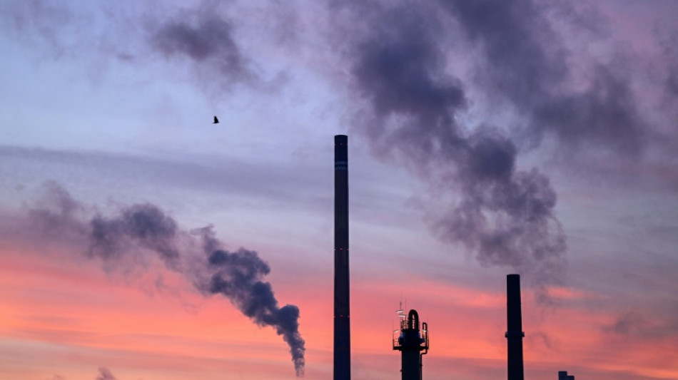 Forscher heben Prognose an: IMK rechnet 2025 mit 0,2 Prozent Wirtschaftswachstum