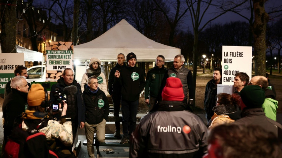 MaPrimeRénov': les chaudiéristes bois manifestent pour bénéficier de la principale aide