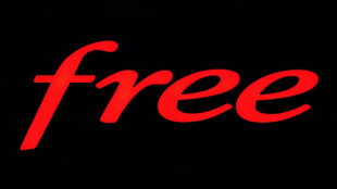 Pornographie en ligne: un d&eacute;put&eacute; signale Free &agrave; l'Arcom