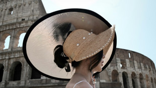 Las olas de calor en Europa y EEUU ser&iacute;an "casi imposibles" sin el cambio clim&aacute;tico