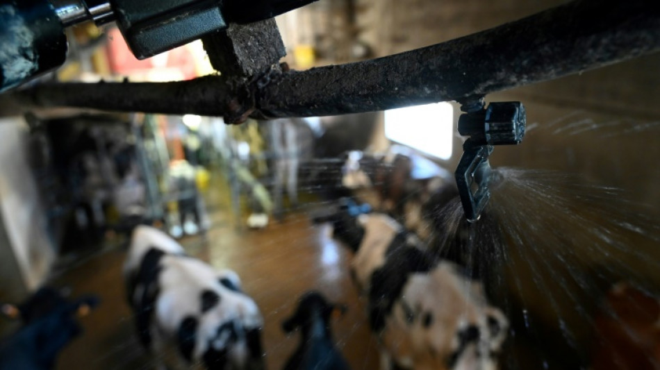 Julio de 2022 fue uno de los m&aacute;s c&aacute;lidos jam&aacute;s registrados, seg&uacute;n la ONU