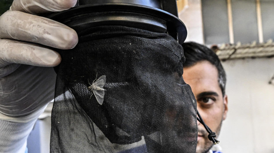 West Nile, nel Lazio altre due vittime, 12 in tutto