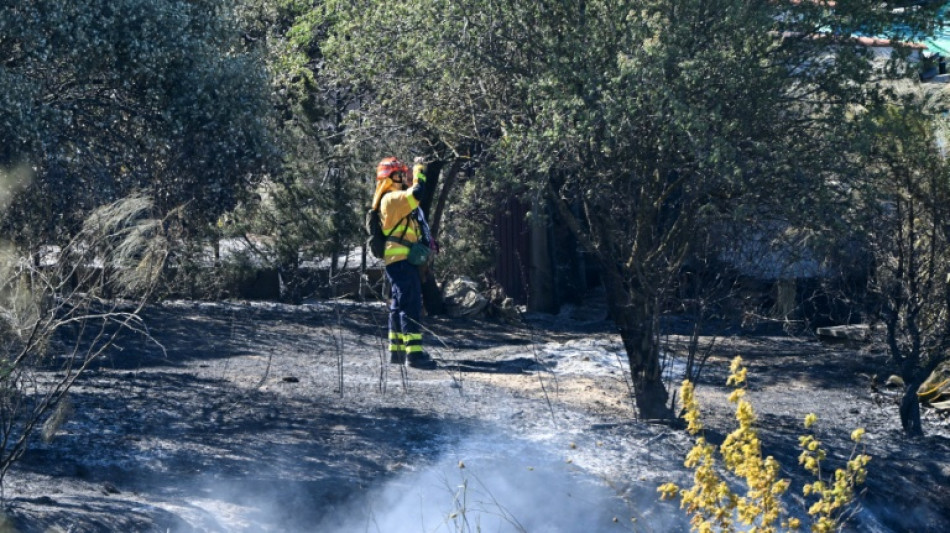 Sud de l'Espagne: l'incendie de Tarifa "stabilis&eacute;", retour des vacanciers &eacute;vacu&eacute;s