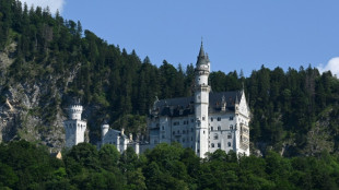 Touristin sperrt Hund in Schlie&szlig;fach - und besucht Neuschwanstein