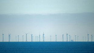 Einweihung von Deutschlands gr&ouml;&szlig;tem Offshore-Windpark