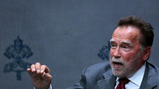 Le pape L&eacute;on XIV et Schwarzenegger en croisade pour l'environnement