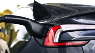 Preisabstand zwischen Elektroautos und Verbrennern schrumpft 