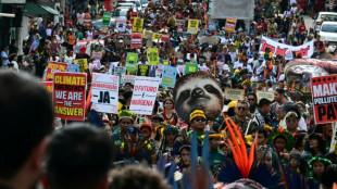 Brasil avanza en nuevas demarcaciones de tierras indígenas