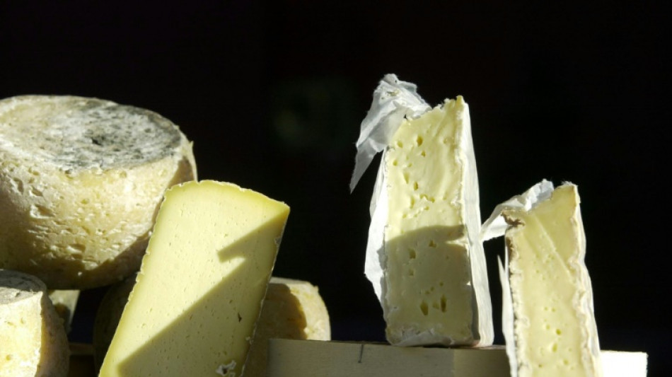 72 personnes malades de la salmonellose apr&egrave;s avoir consomm&eacute; des fromages fermiers "Le Chasteau"