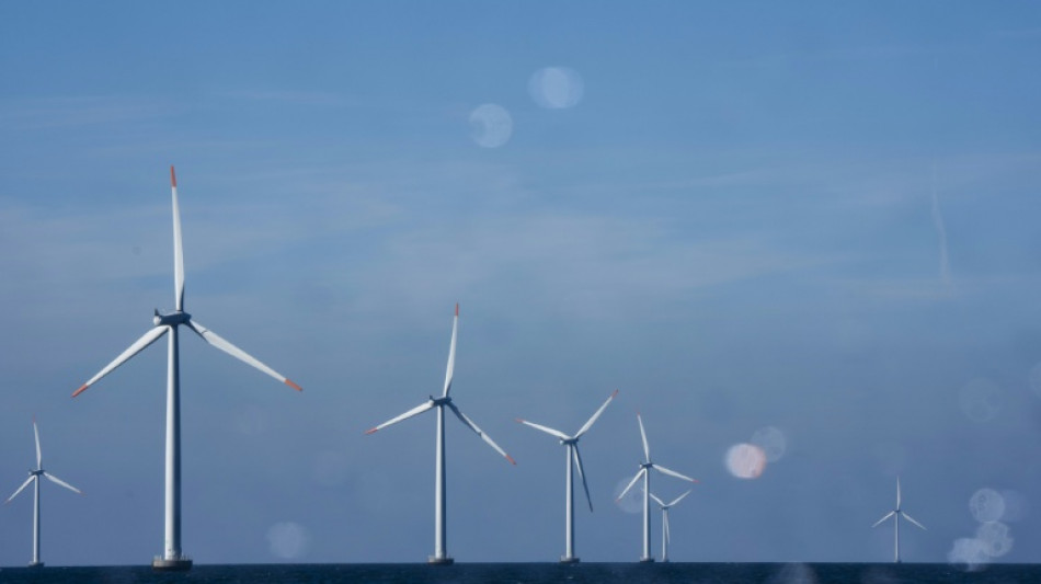 Danish wind giant Orsted to cut workforce by a quarter