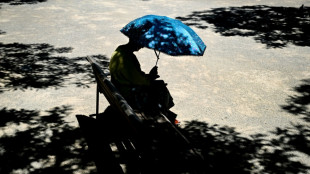 St&auml;dtetag: Wir brauchen "Milliardensummen" f&uuml;r Schutz gegen die Hitze